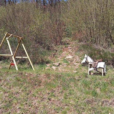 Ferienwohnung Sonnenhang Rudenau エクステリア 写真