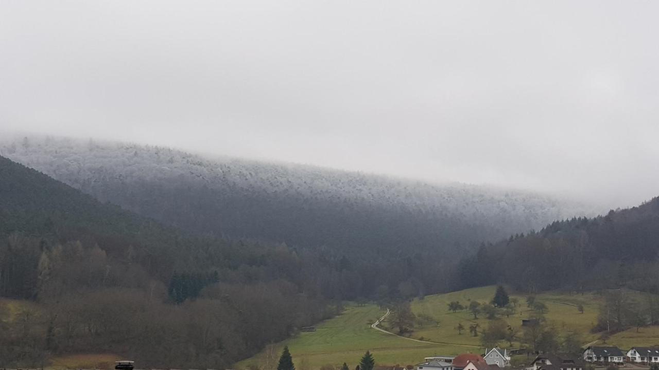 Ferienwohnung Sonnenhang Rudenau エクステリア 写真